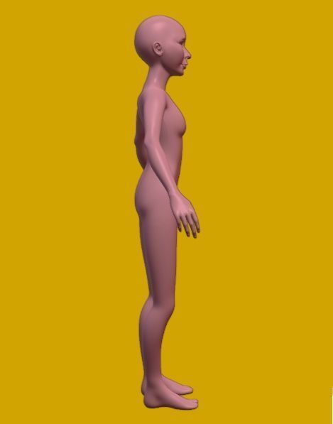Base corporal femenina animada Low-poly 3D model_5