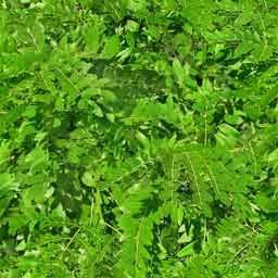 624 House 3D model_18