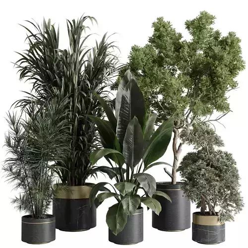 indoor plant 557 pot plant tree metal and marble dirt vase