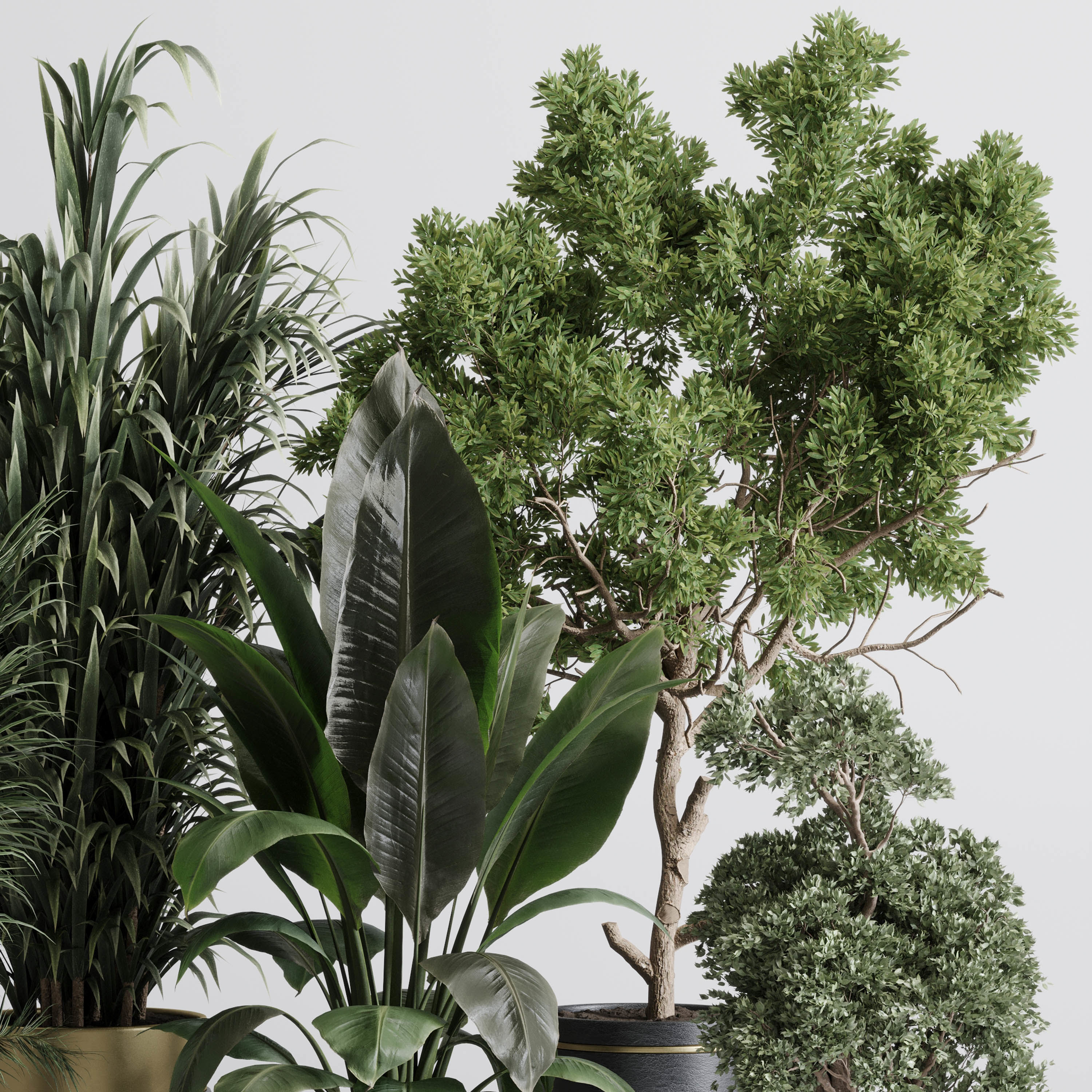 indoor plant 557 pot plant tree metal and marble dirt vase 3D model_4