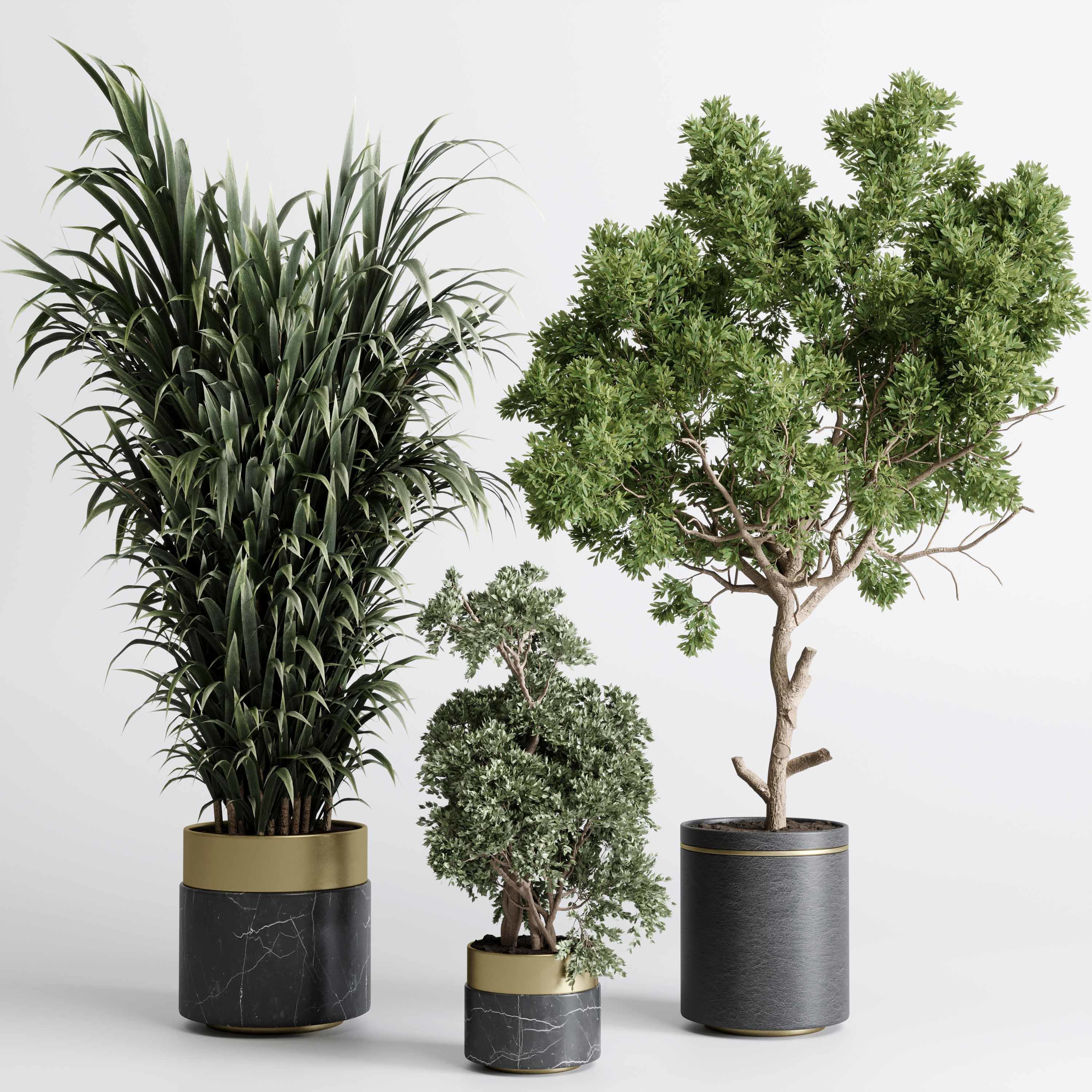 indoor plant 557 pot plant tree metal and marble dirt vase 3D model_1