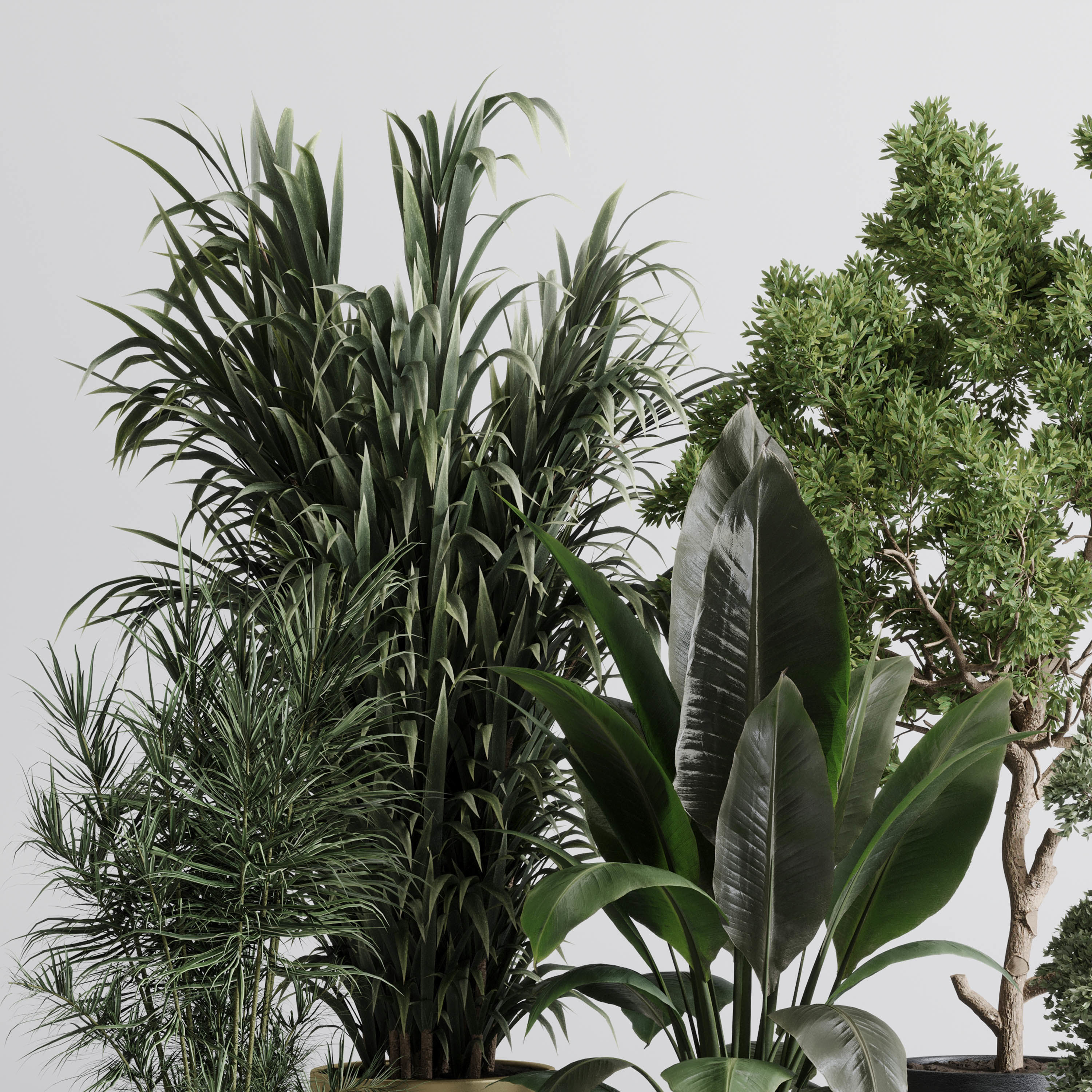 indoor plant 557 pot plant tree metal and marble dirt vase 3D model_3