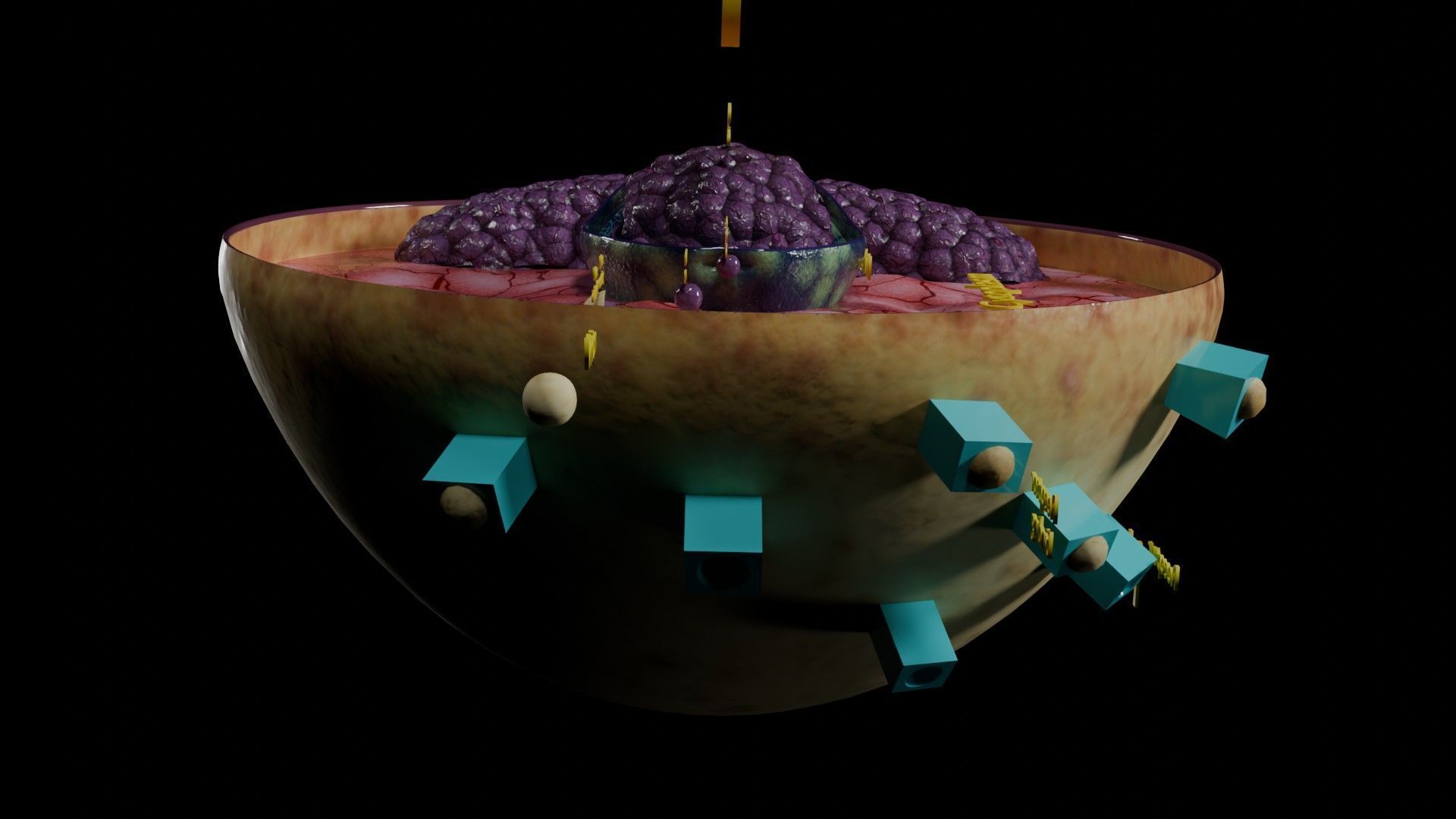 Virus infection cycle in host cell Low-poly 3D model_59