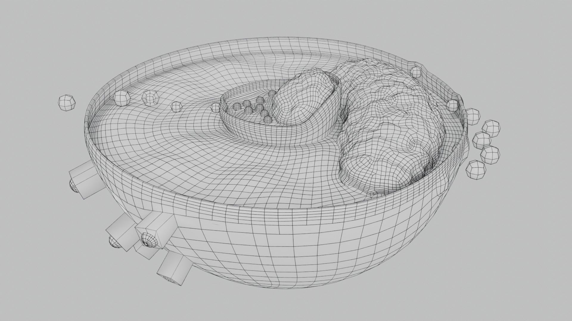 Virus infection cycle in host cell Low-poly 3D model_76