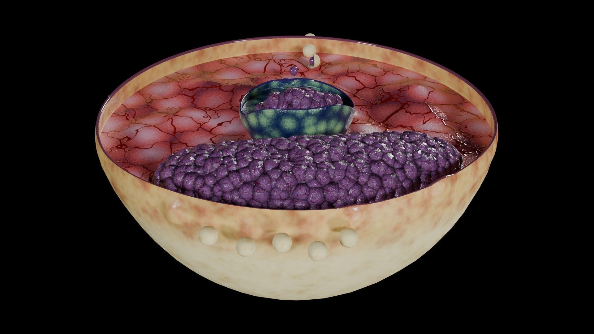 Virus infection cycle in host cell Low-poly 3D model_38