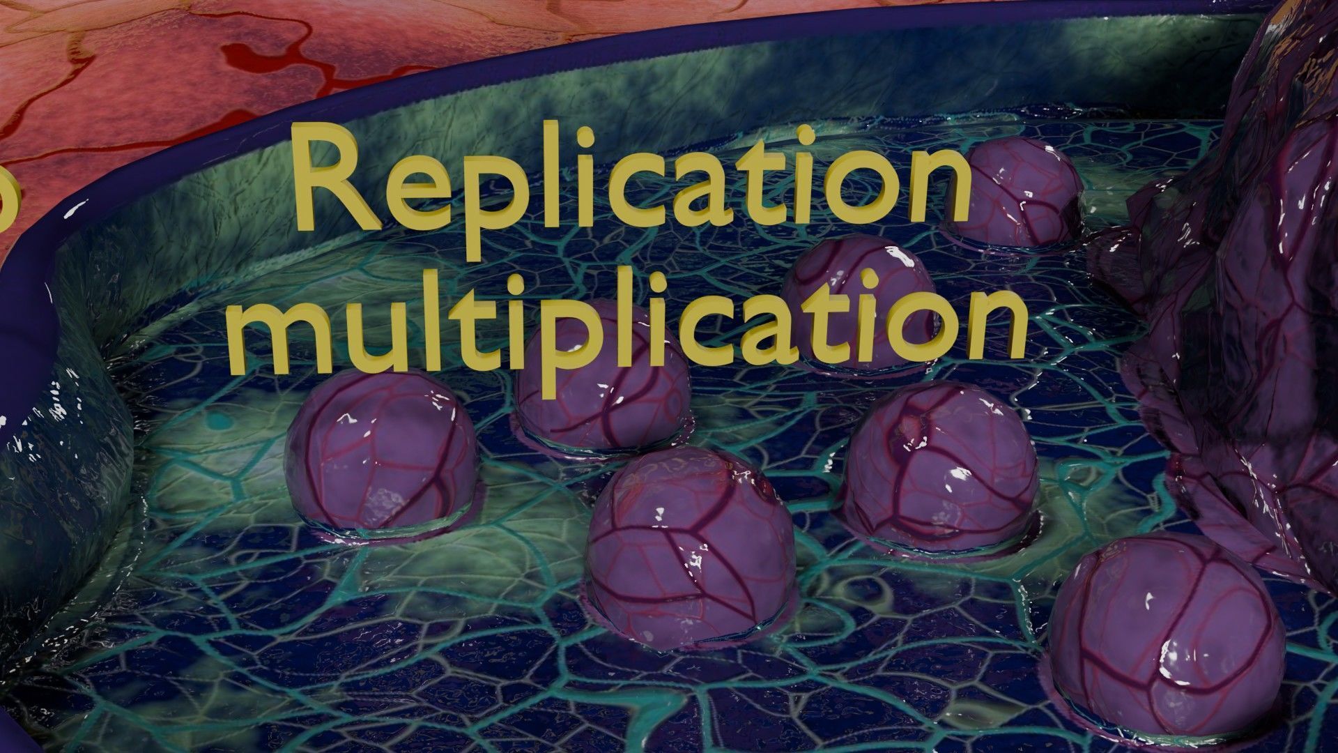 Virus infection cycle in host cell Low-poly 3D model_9