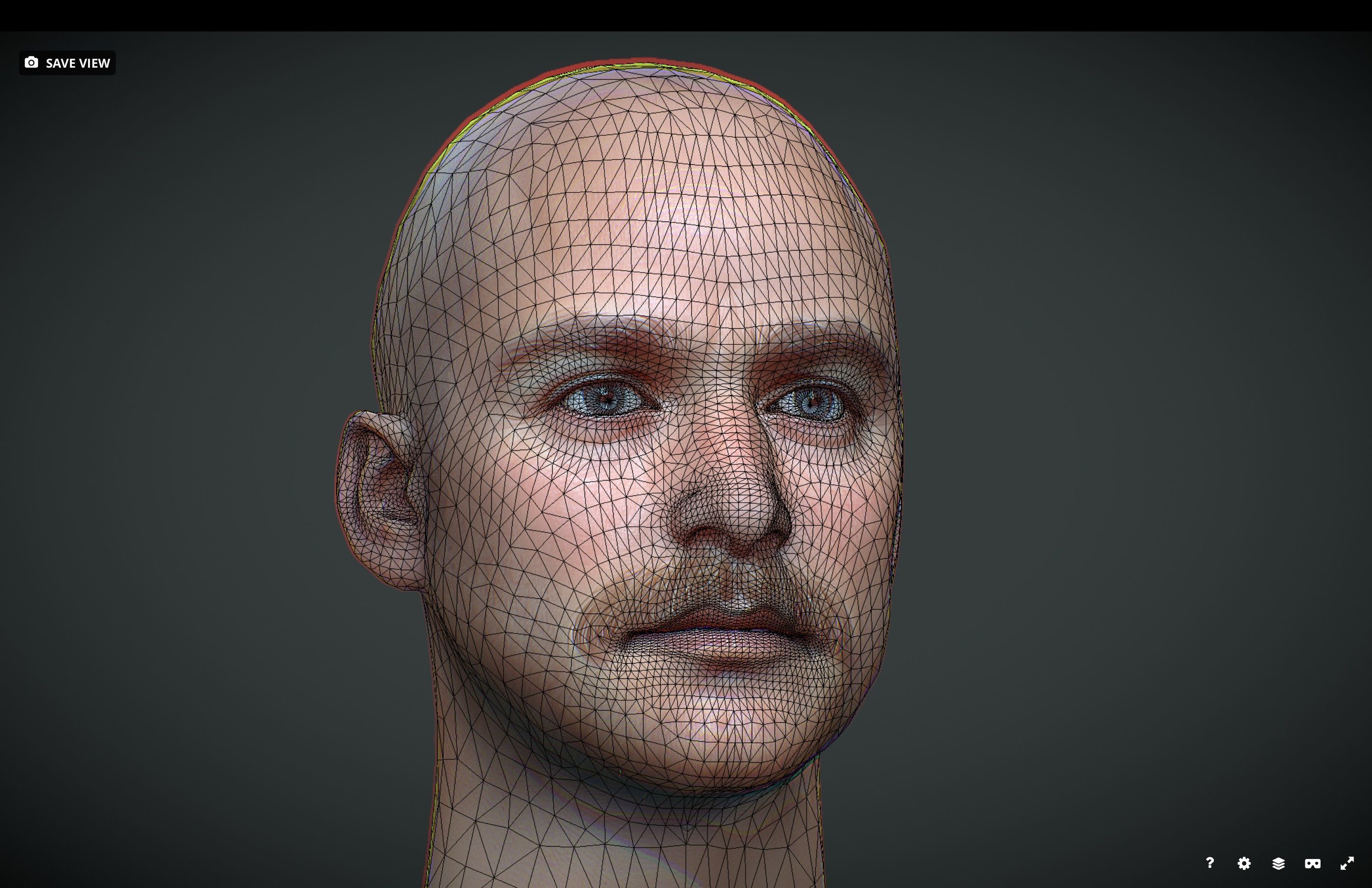 Male head Realistic Perfect Head Low-poly 3D model_6
