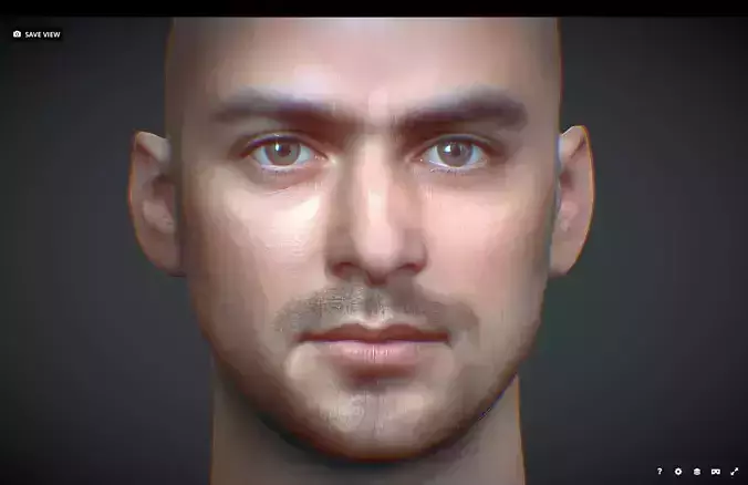 Male head Realistic Perfect Head