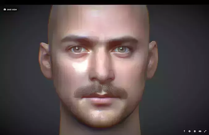 Male head Realistic Perfect Head