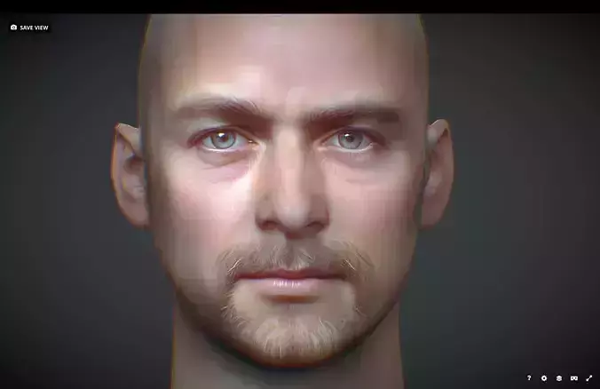 Male head Realistic Perfect Head 