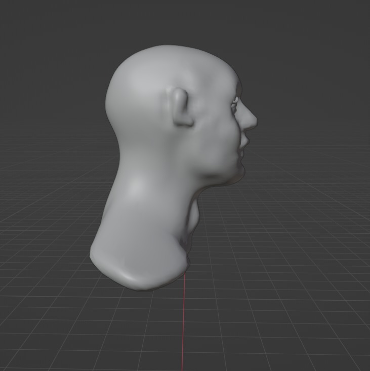Human head for 3d modeling Free low-poly 3D model_3