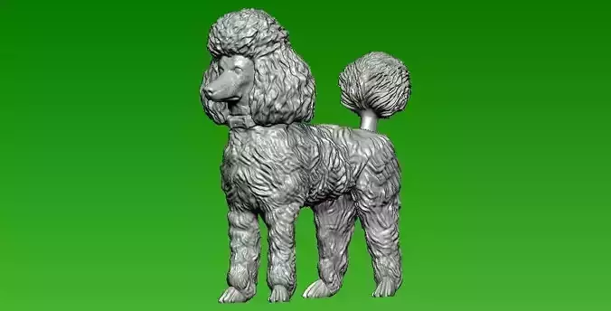  Carved oliver poodles - 3D printed