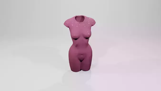 WOMAN BODY PENCIL HOLDER  STL FILE 3D PRINT WOMAN BODY VASE 3D print model