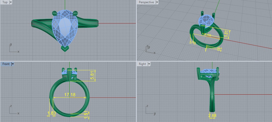 Ring pear Model 6575 3D print model_6