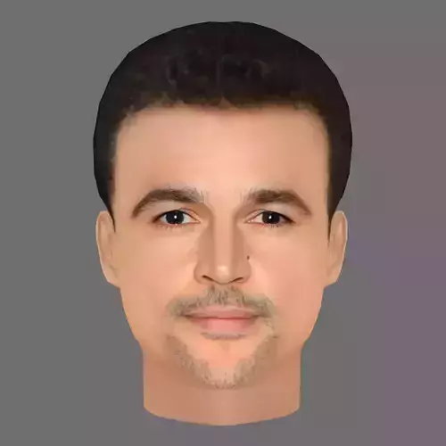 Christopher Abbott Head - Low poly head for game Low-poly 3D model