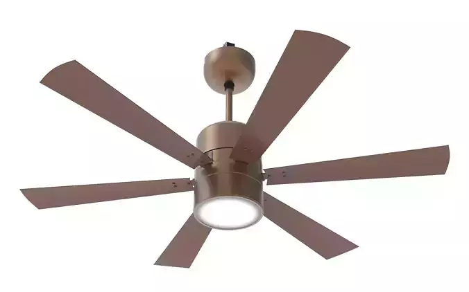 Ceiling Fan
