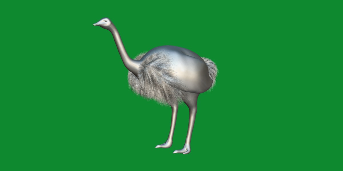 Ostrich Bird Low-poly 3D model_11