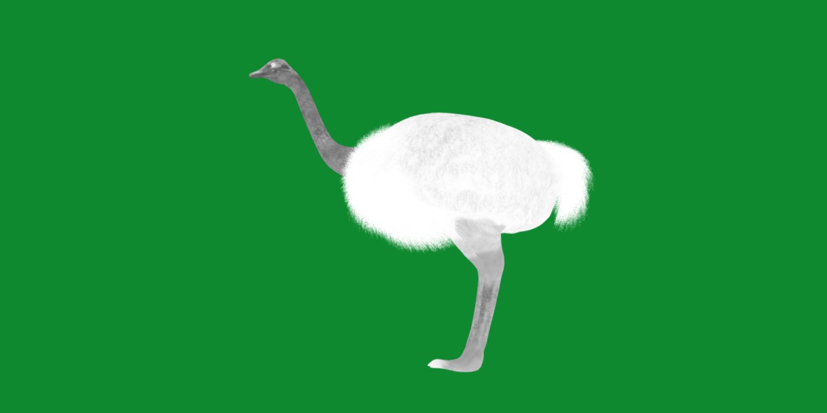 Ostrich Bird Low-poly 3D model_6