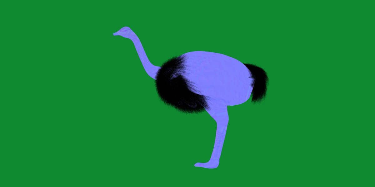 Ostrich Bird Low-poly 3D model_5