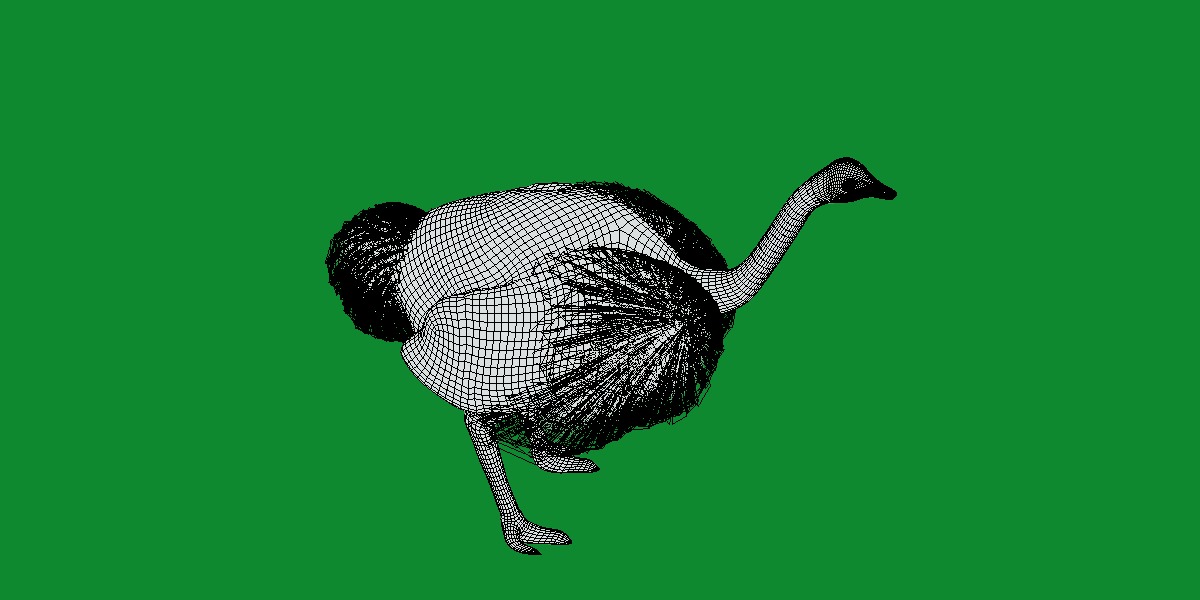 Ostrich Bird Low-poly 3D model_13