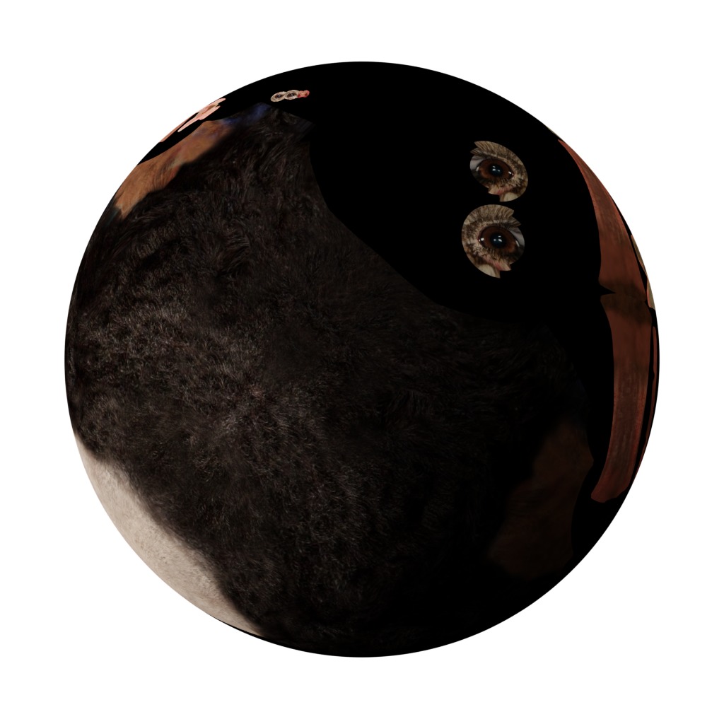 Ostrich Bird Low-poly 3D model_31