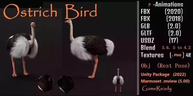 Ostrich Bird Low-poly 3D model