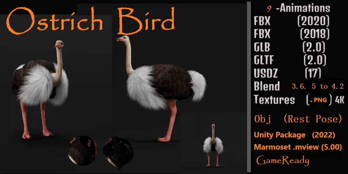 Ostrich Bird Low-poly 3D model_0