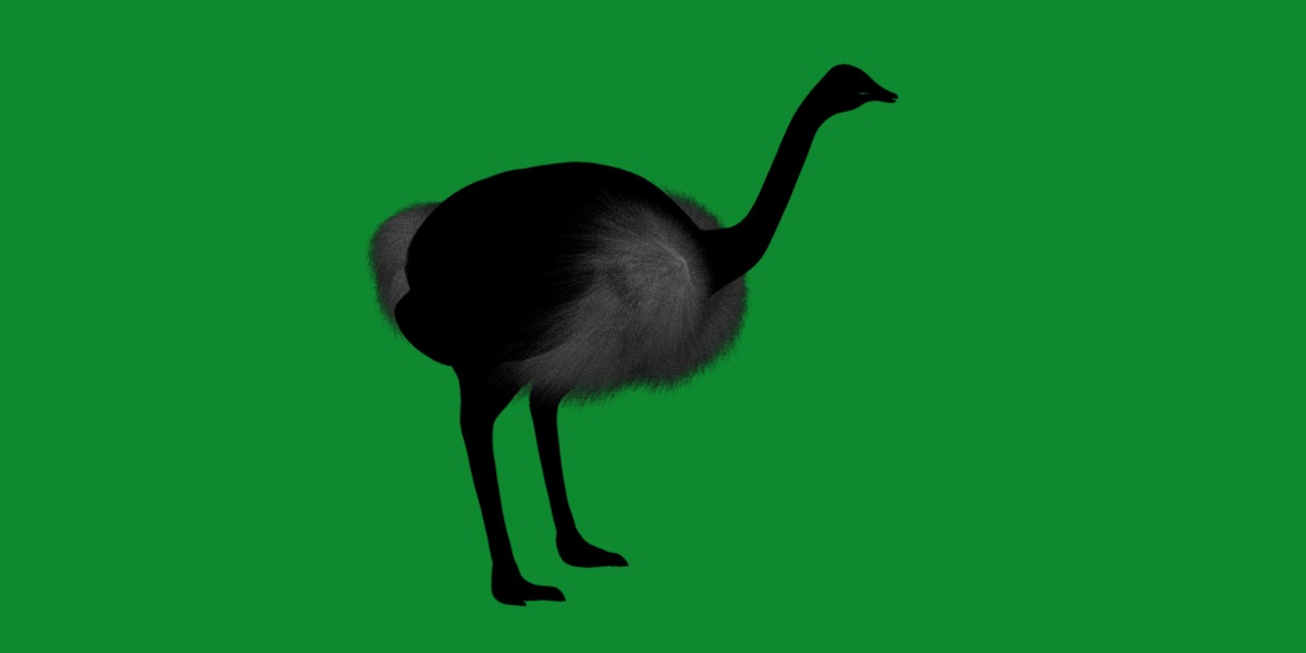 Ostrich Bird Low-poly 3D model_8