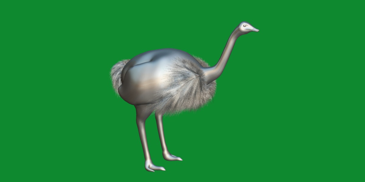 Ostrich Bird Low-poly 3D model_10