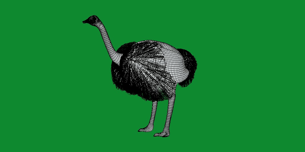 Ostrich Bird Low-poly 3D model_12