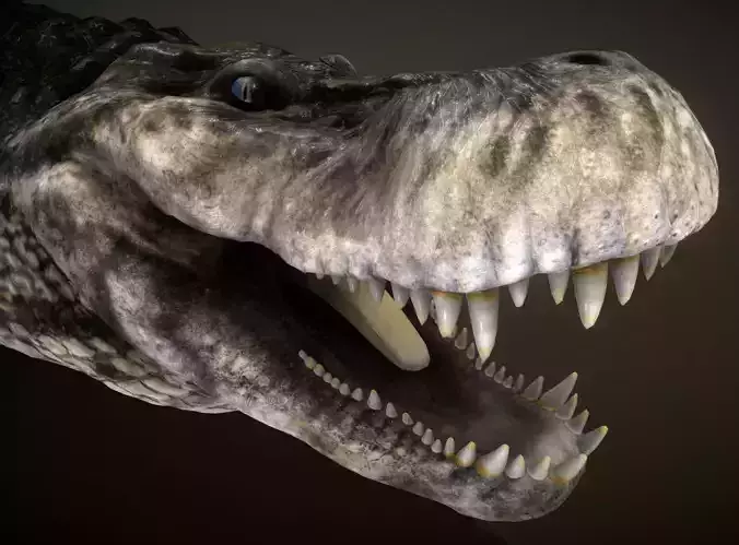 Purussaurus Low-poly 3D model