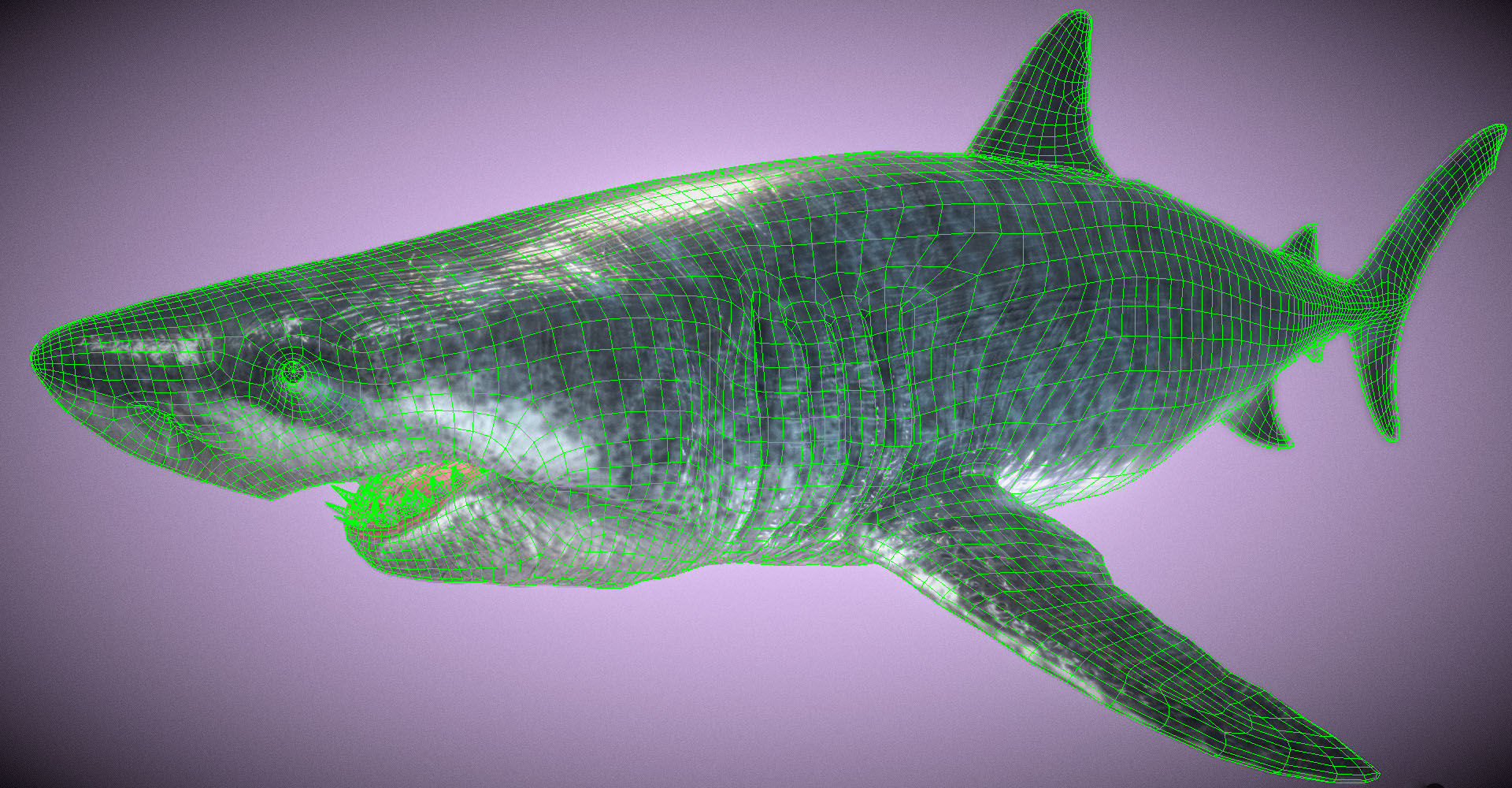 Ultra Megalodon  Low-poly 3D model_2