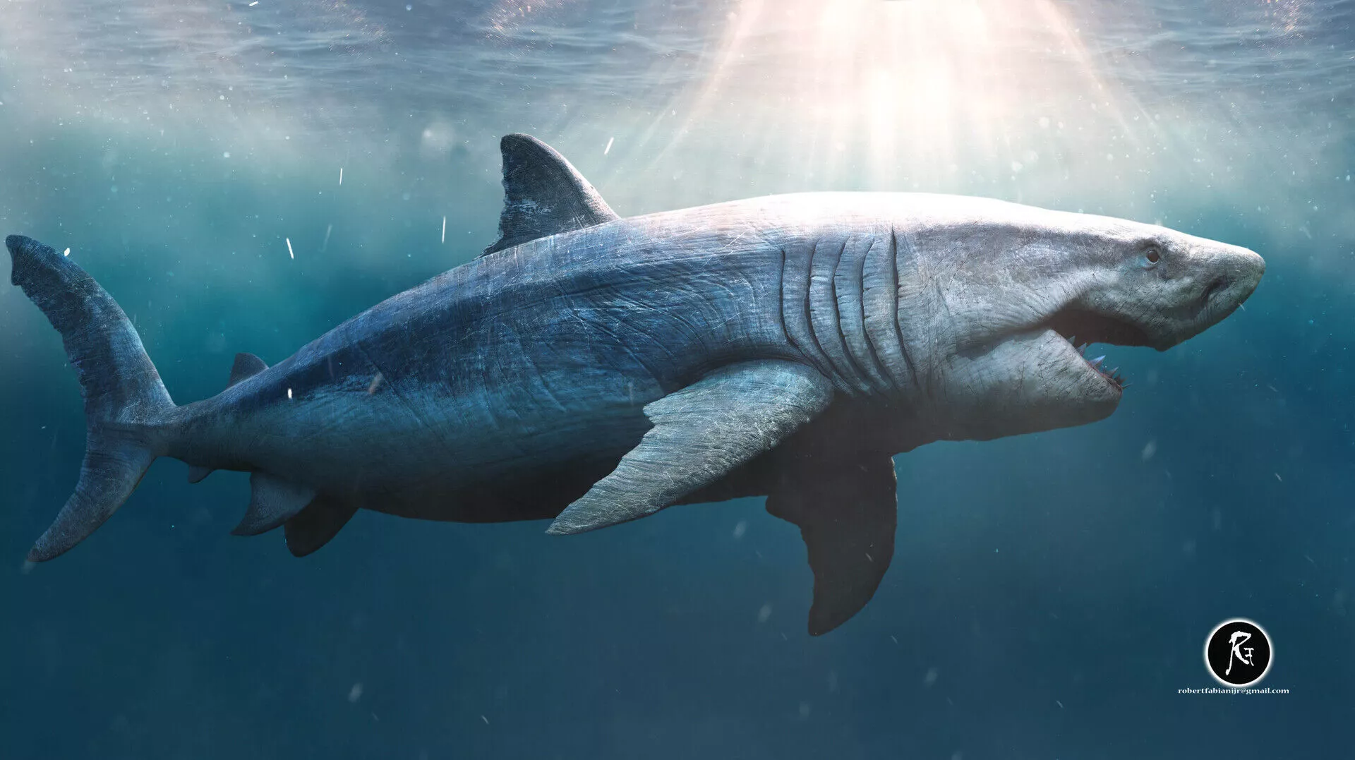 Ultra Megalodon Low-poly 3D model