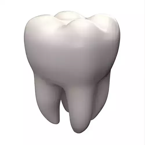 Tooth Low-poly 3D model