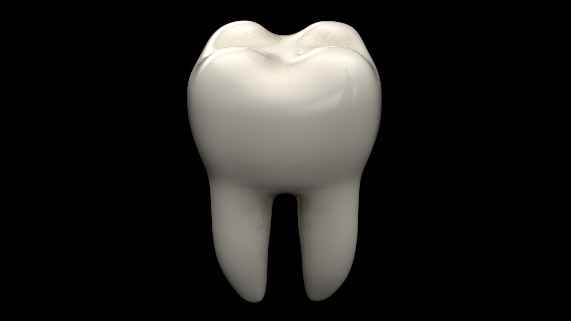Tooth Low-poly 3D model_3