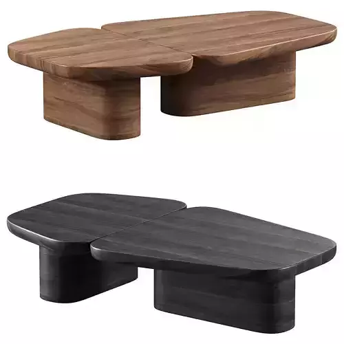PANGEA COFFEE TABLE
