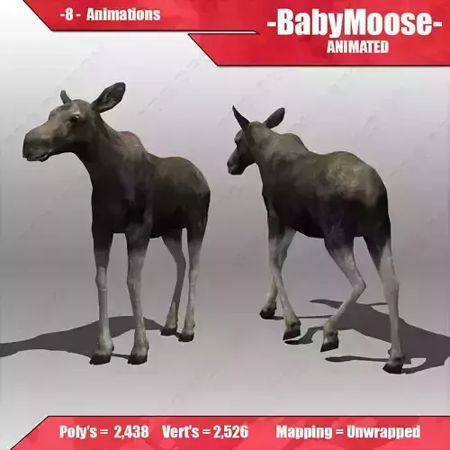 Baby Moose Animated 3D model
