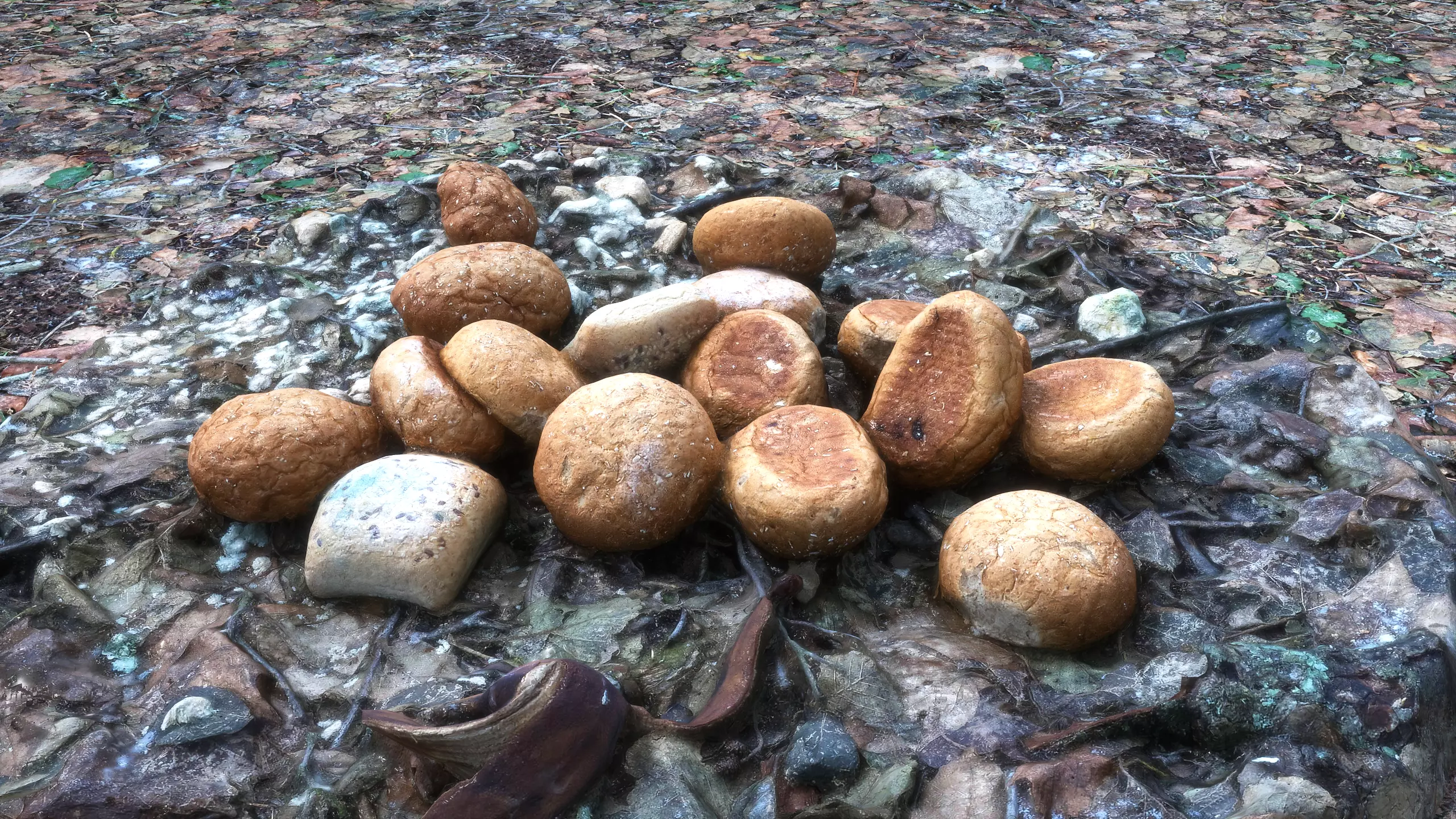 Discarded Bread Photoscenery Low-poly 3D model_0