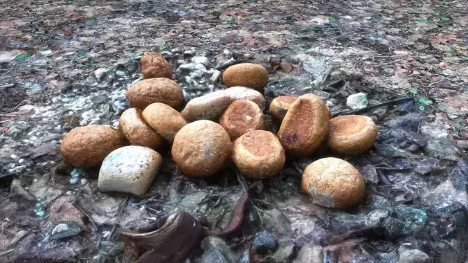 Discarded Bread Photoscenery Low-poly 3D model