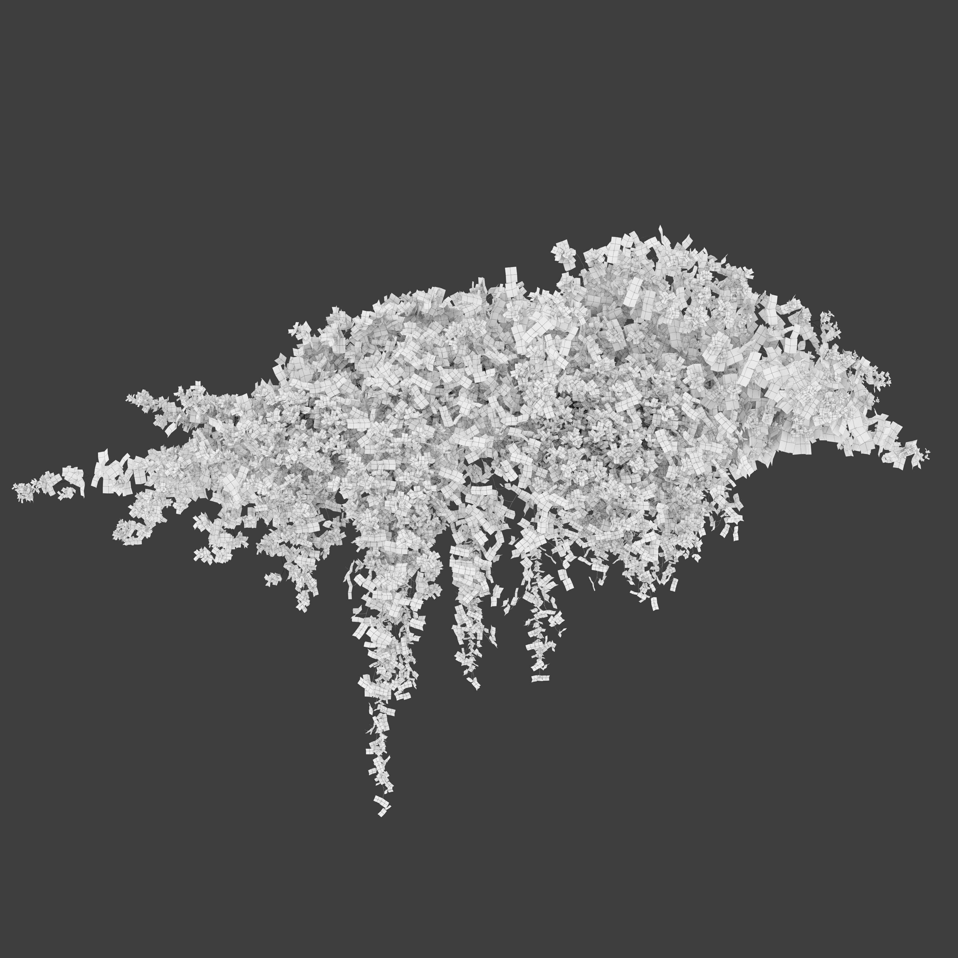 Bougainvillea 04 3D model_3