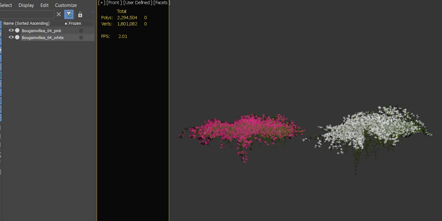 Bougainvillea 04 3D model_4