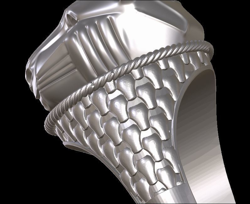 Panther Head Texturede Ring 3D print model_14