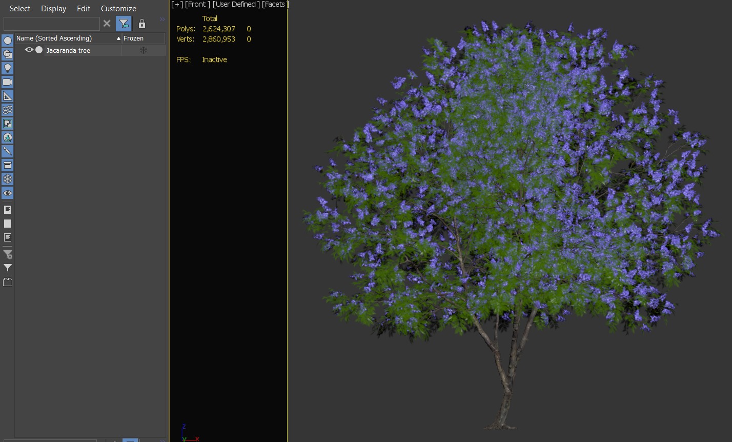 Jacaranda tree 3D model_5