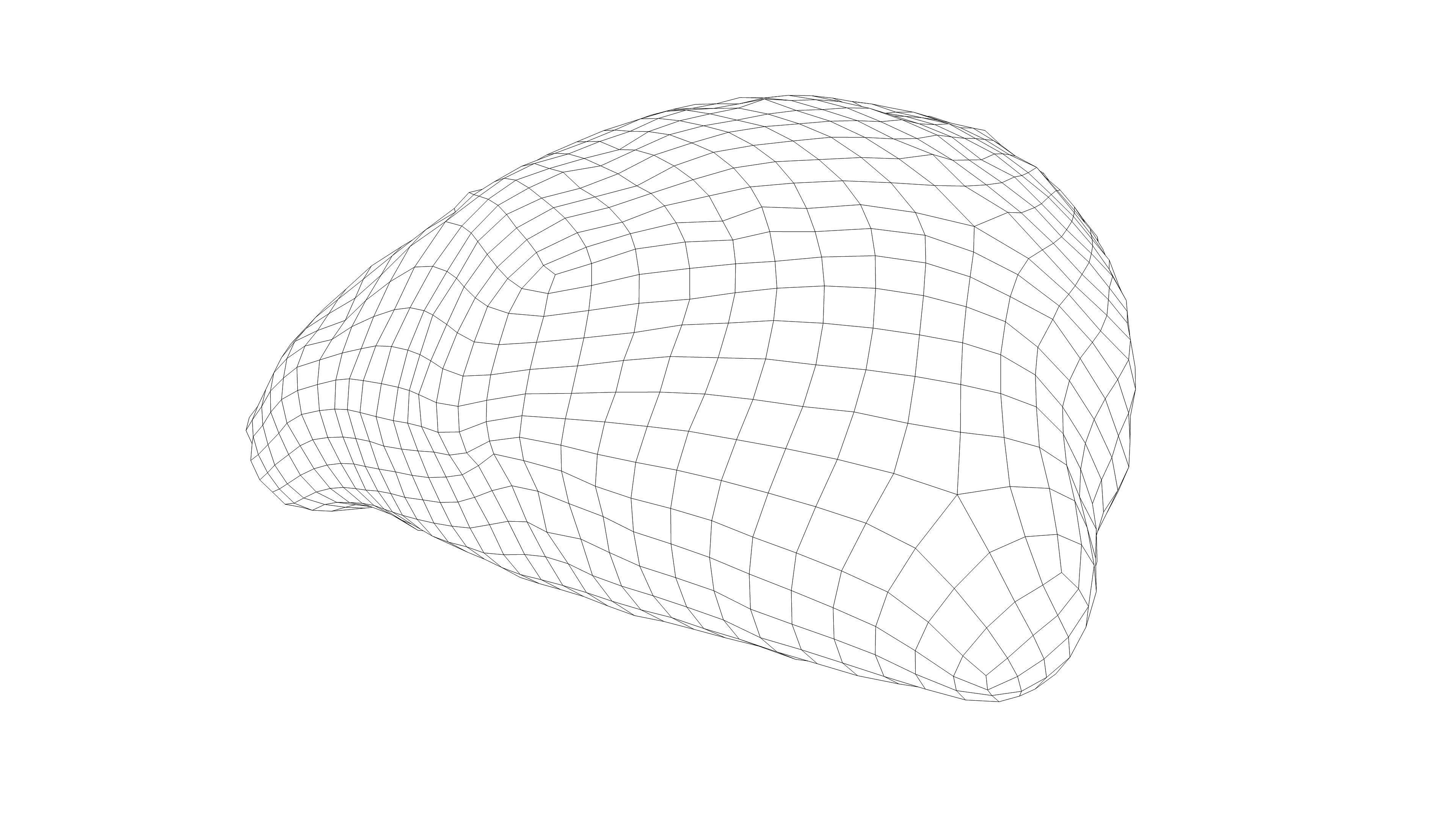 Photorealistic 3D scan of grain bun Low-poly 3D model_17