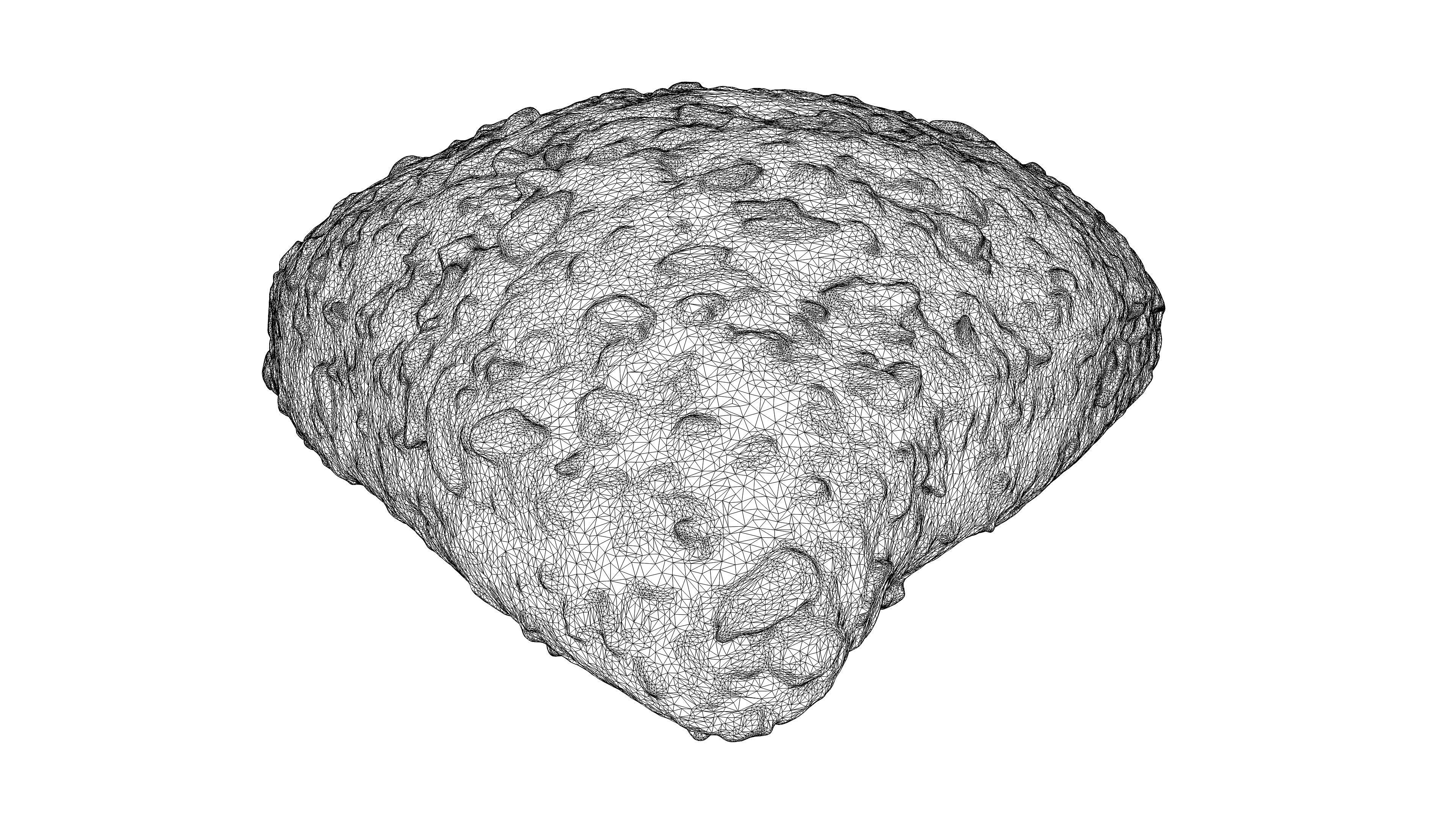 Photorealistic 3D scan of grain bun Low-poly 3D model_22