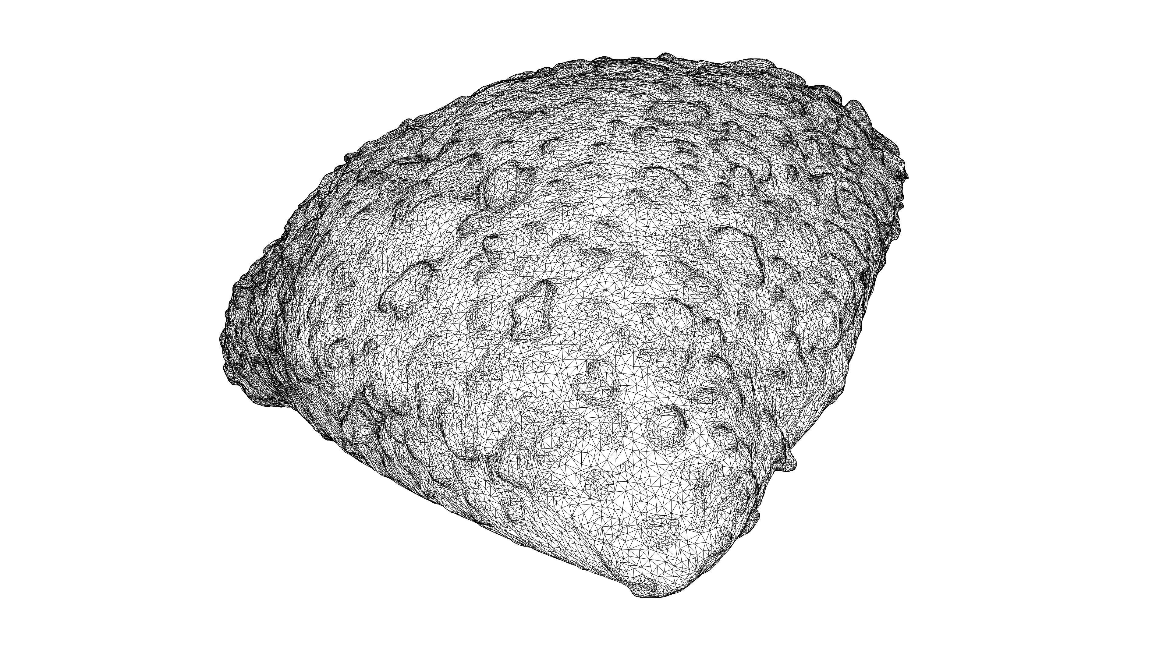 Photorealistic 3D scan of grain bun Low-poly 3D model_25