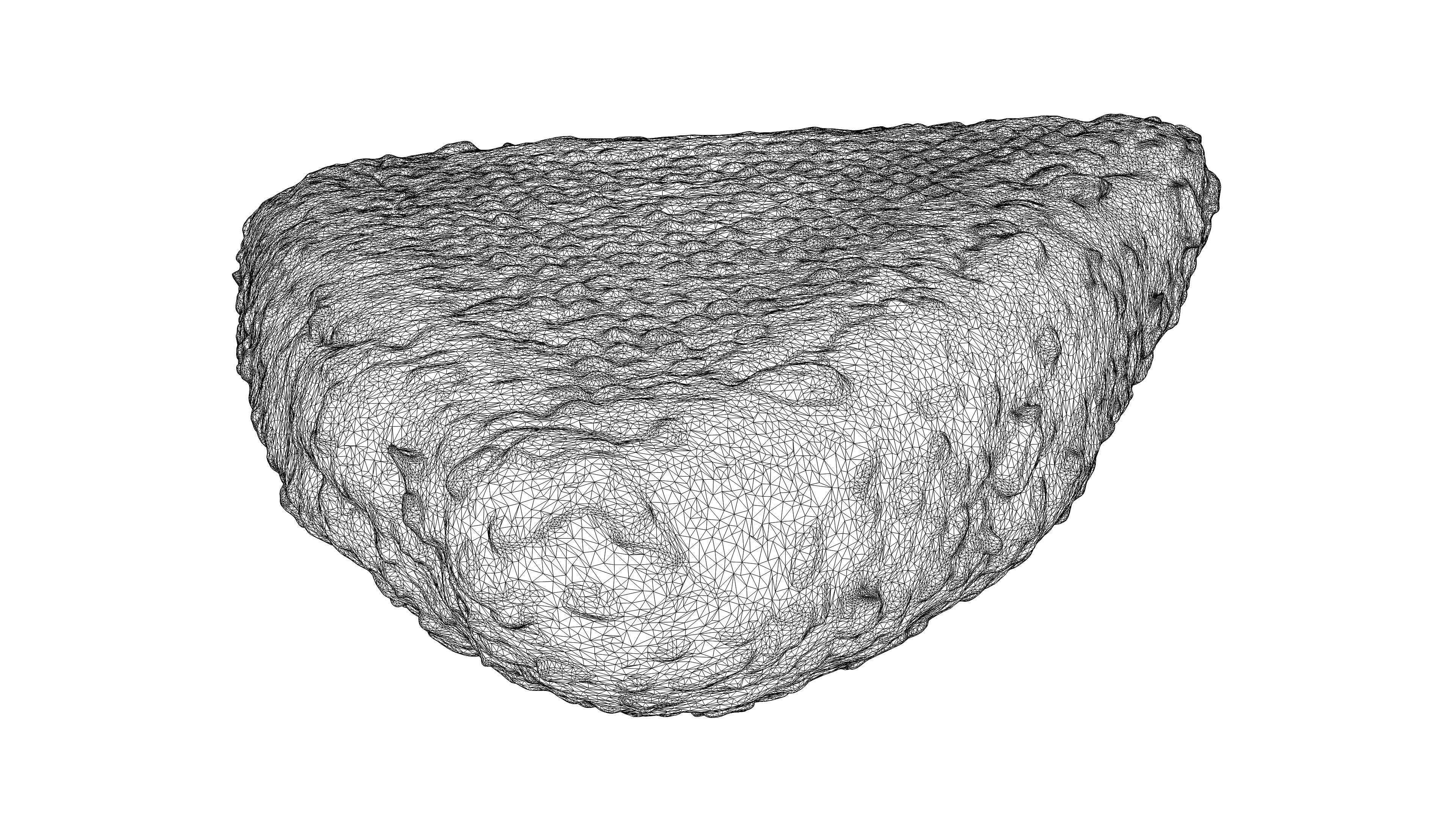 Photorealistic 3D scan of grain bun Low-poly 3D model_24