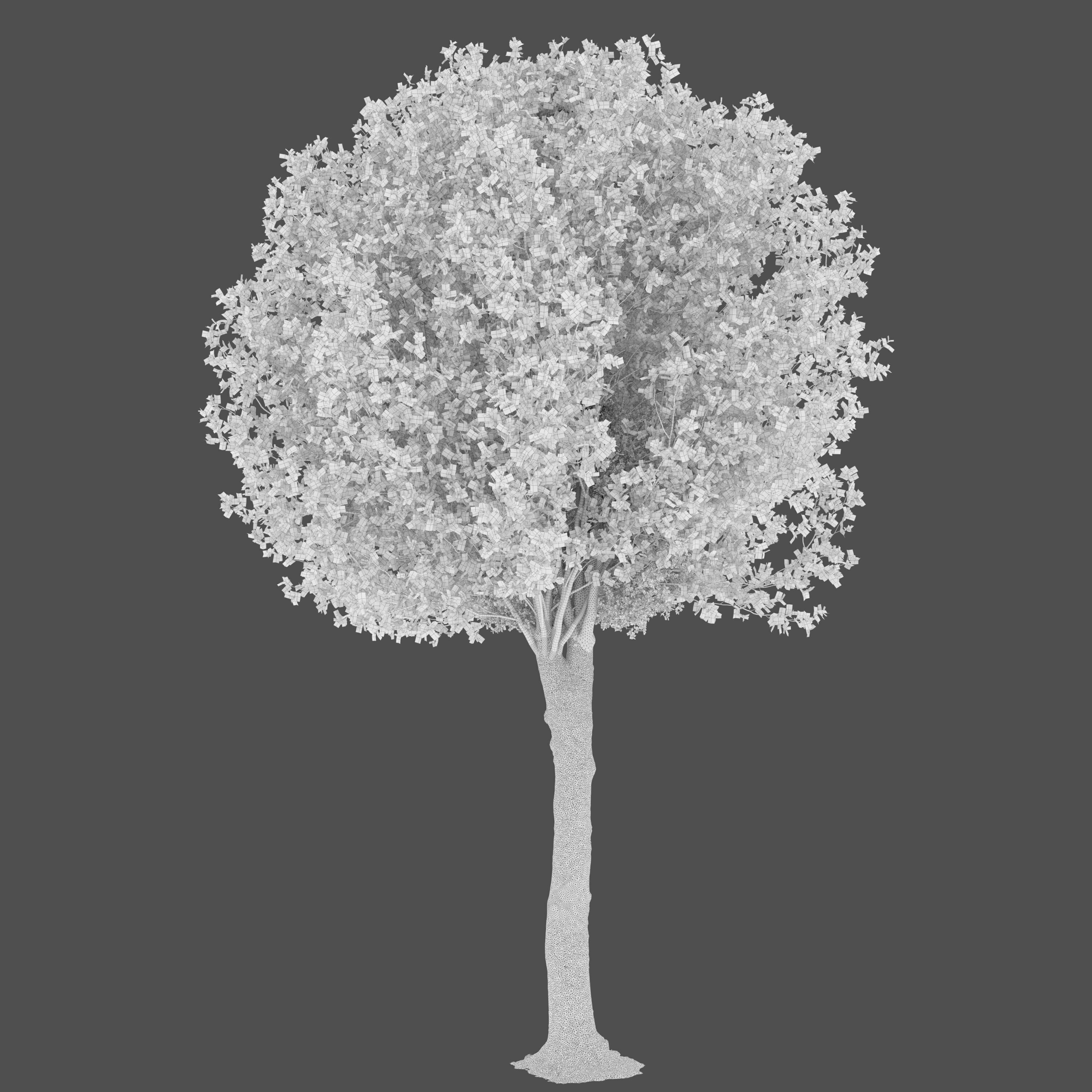 Round shape tree 3D model_2