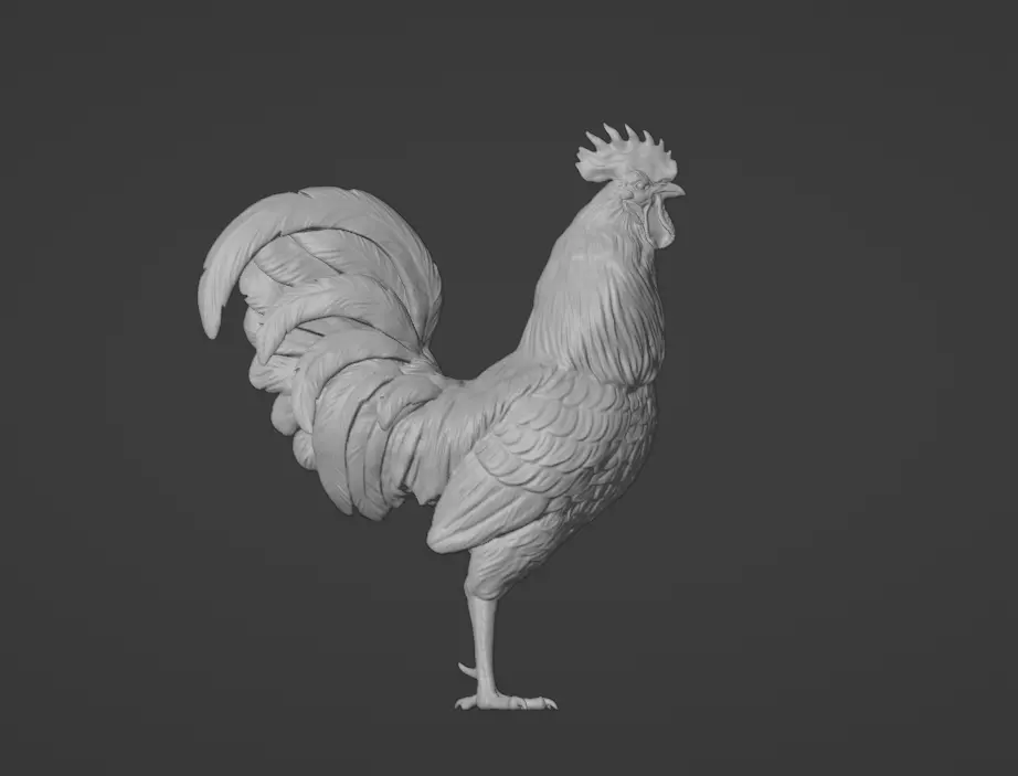 ROOSTER 3D model_0