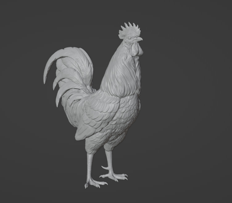 ROOSTER 3D model_4